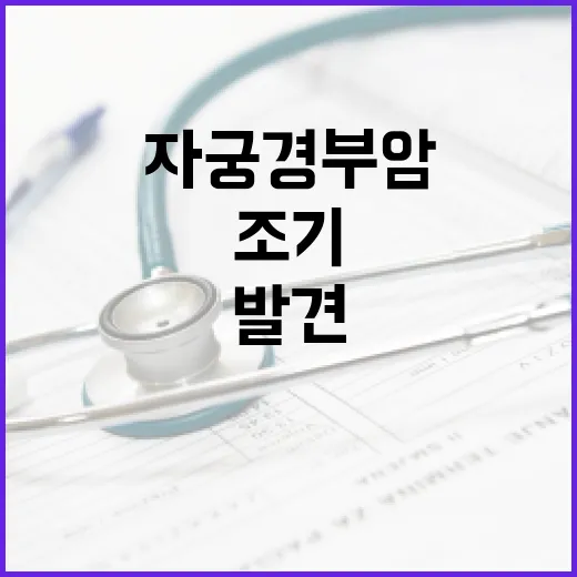 자궁경부암 증상을 조기에 발견하는 방법 - 요약
