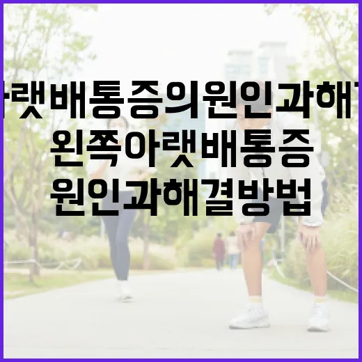 왼쪽 아랫배 통증의 원인과 해결 방법 - 요약