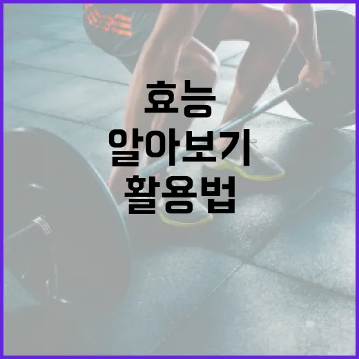 커큐민의 효능과 활용법 알아보기 - 요약