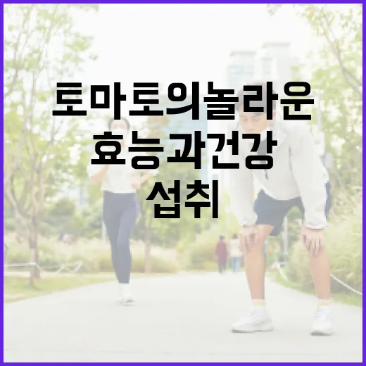 토마토의 놀라운 효능과 건강하게 섭취하는 방법 - 요약