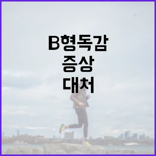 B형 독감 증상 알아보고 대처하는 방법 - 요약