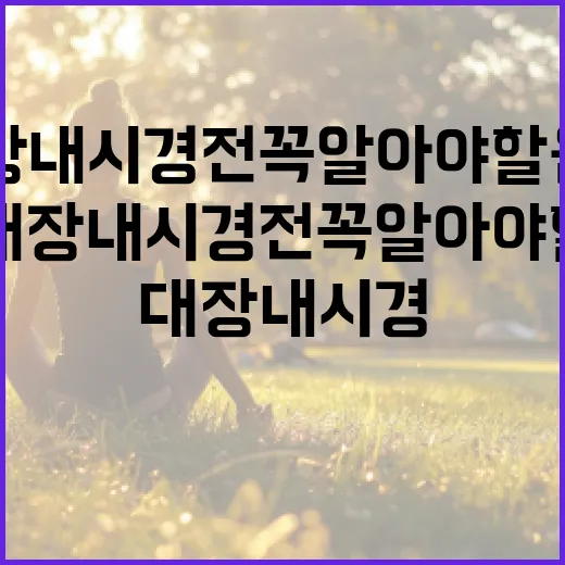 대장내시경 전 꼭 알아야 할 음식 섭취 방법 - 요약