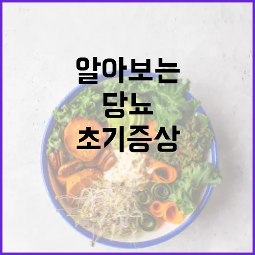 당뇨 초기증상을 알아보는 방법 - 요약