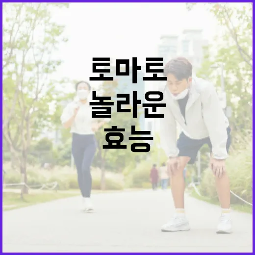 토마토의 놀라운 효능을 아는 방법 - 요약