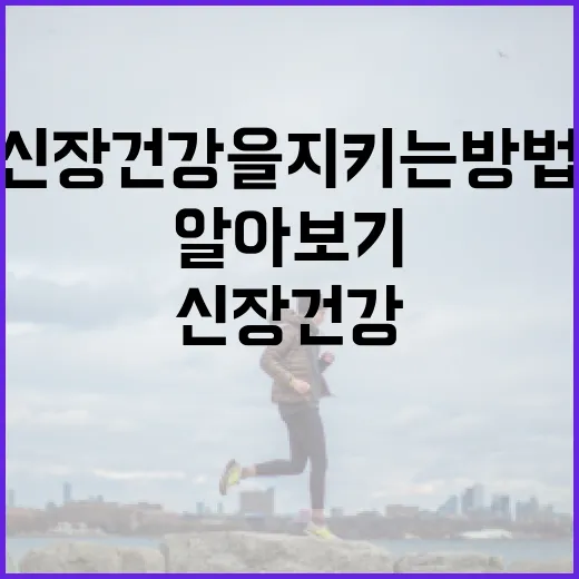 신장 건강을 지키는 방법: 신장에 좋은 음식 알아보기 - 요약