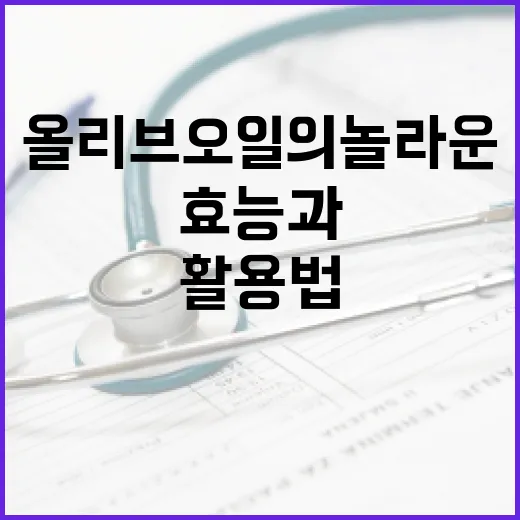 올리브오일의 놀라운 효능과 활용법 - 요약