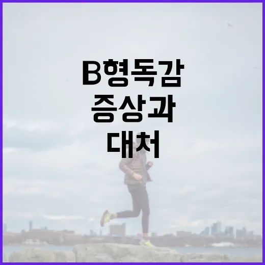 B형 독감 증상과 효과적으로 대처하는 방법 - 요약