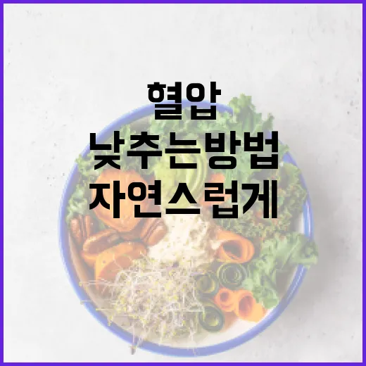 자연스럽게 혈압을 낮추는 방법 - 요약