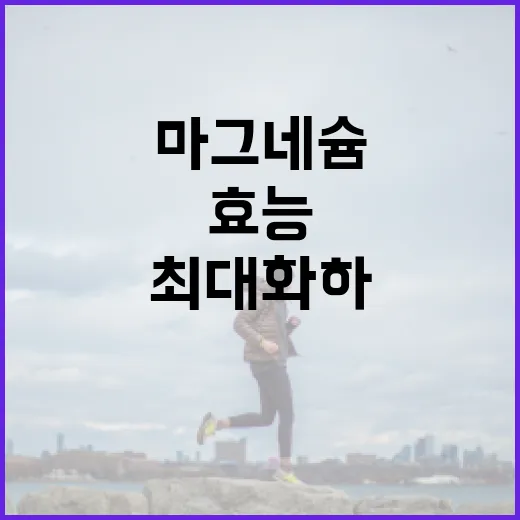 마그네슘 효능을 최대화하는 방법 - 요약