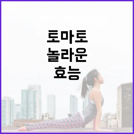 토마토의 놀라운 효능을 아는 방법 - 요약