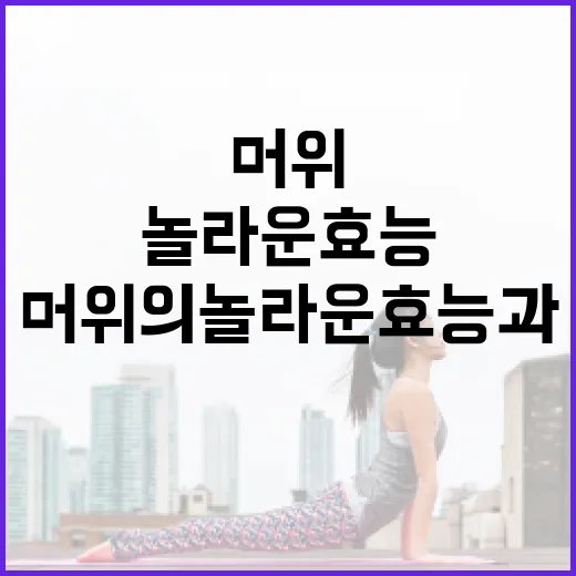 머위의 놀라운 효능과 활용 방법 - 요약