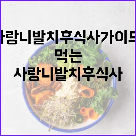 사랑니 발치 후 식사 가이드: 안전하고 건강하게 먹는 방법 - 요약