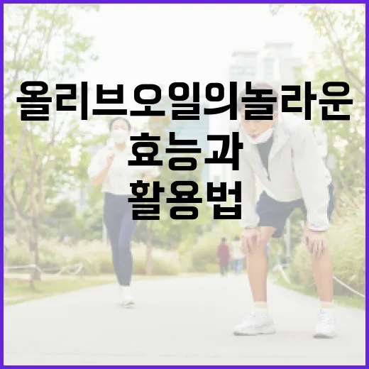 올리브오일의 놀라운 효능과 활용법 - 요약