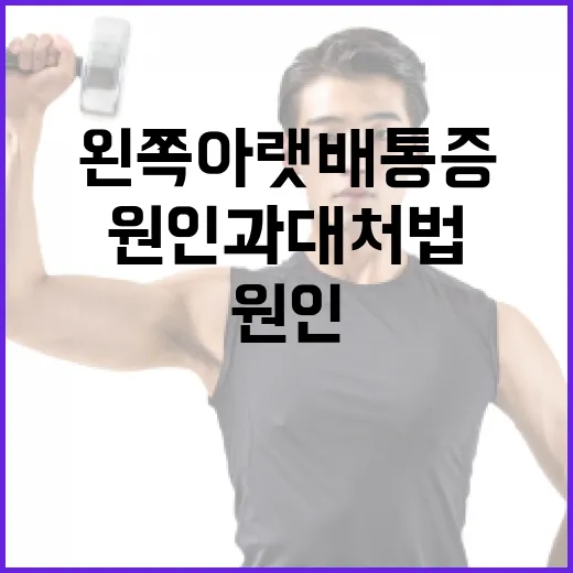 왼쪽 아랫배 통증 해결 방법: 원인과 대처법 - 요약