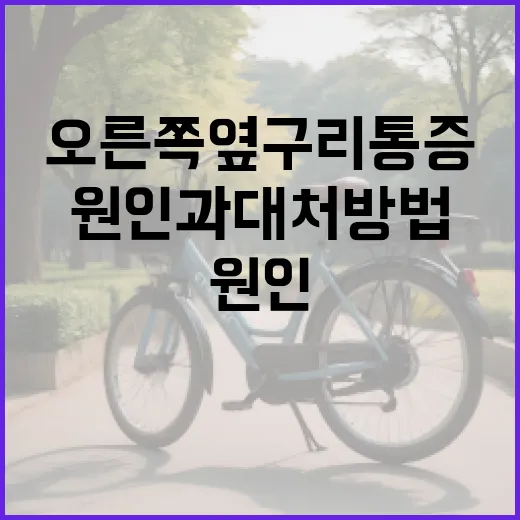 오른쪽 옆구리 통증의 원인과 대처 방법 - 요약