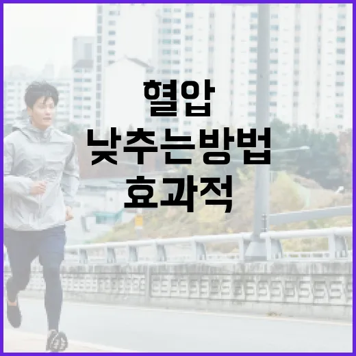 혈압을 효과적으로 낮추는 방법 - 요약