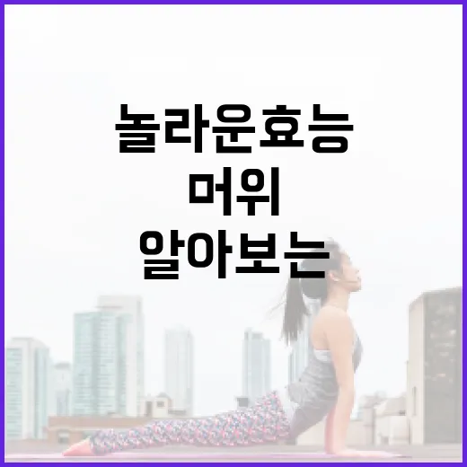머위의 놀라운 효능을 알아보는 방법 - 요약