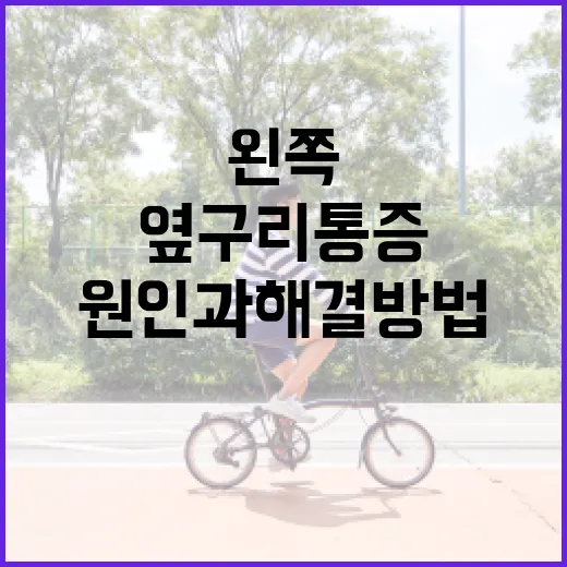 왼쪽 옆구리 통증의 원인과 해결 방법 - 요약