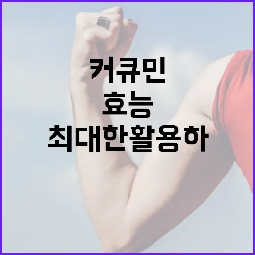 커큐민의 효능을 최대한 활용하는 방법 - 요약