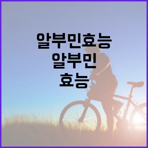 알부민 효능: 건강을 위한 다섯 가지 주요 이점 - 요약