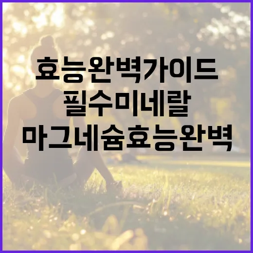 마그네슘 효능 완벽 가이드: 건강을 위한 필수 미네랄 활용법 - 요약