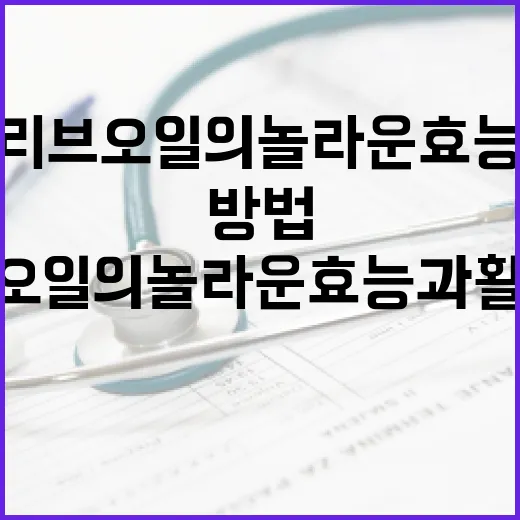 올리브오일의 놀라운 효능과 활용 방법 - 요약