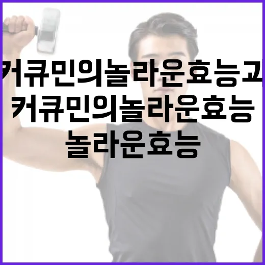 커큐민의 놀라운 효능과 활용 방법 - 요약