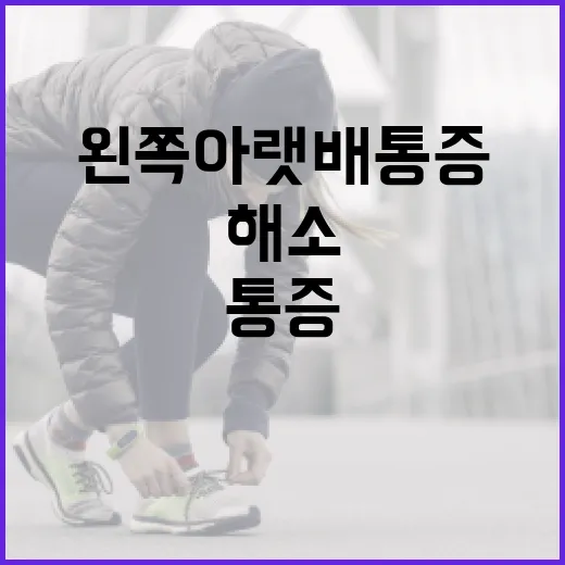 왼쪽 아랫배 통증을 해소하는 방법 - 요약