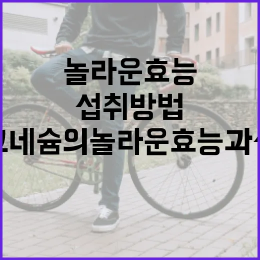 마그네슘의 놀라운 …