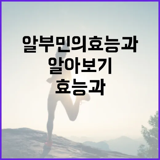 알부민의 효능과 활용법 알아보기 - 요약