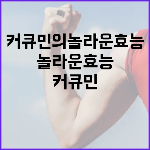 커큐민의 놀라운 효능을 최대한 활용하는 방법 - 요약