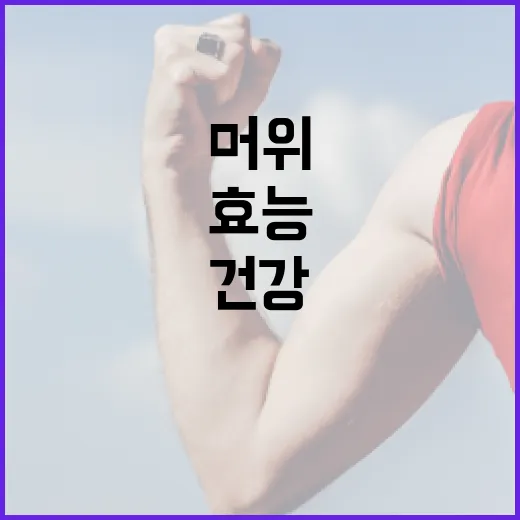 머위의 효능과 활용…