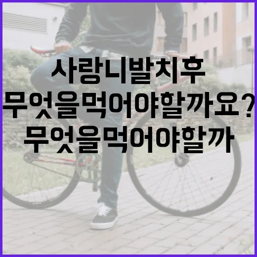 사랑니 발치 후 무엇을 먹어야 할까요? - 요약