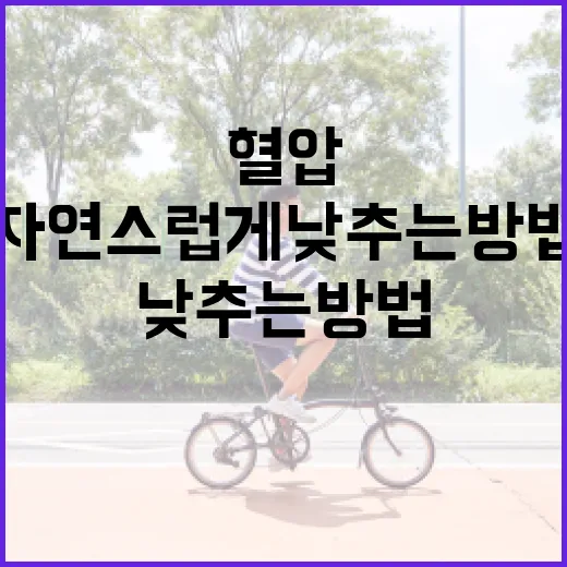 혈압을 자연스럽게 낮추는 방법 - 요약