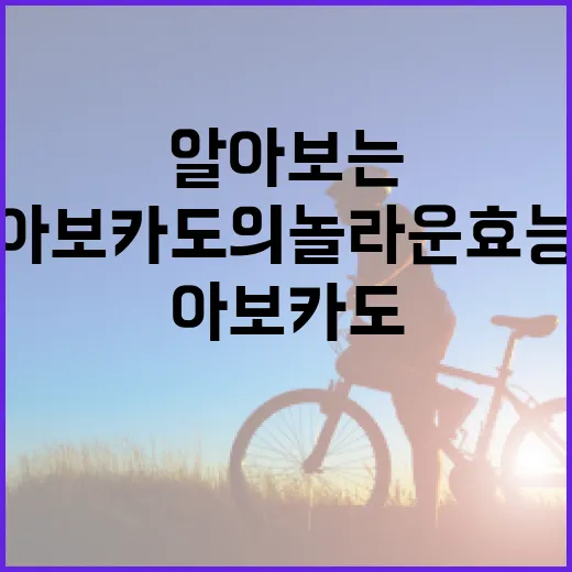 아보카도의 놀라운 효능을 알아보는 방법 - 요약