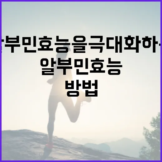 알부민 효능을 극대화하는 방법 - 요약