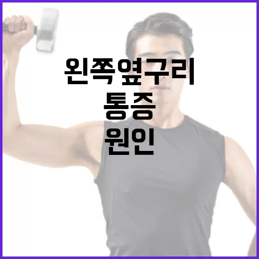 왼쪽 옆구리 통증 완화하는 방법과 원인 알아보기 - 요약