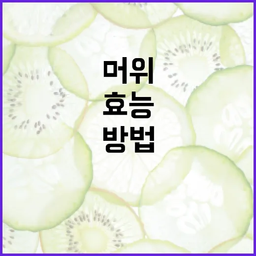 머위의 효능을 극대화하는 방법 - 요약