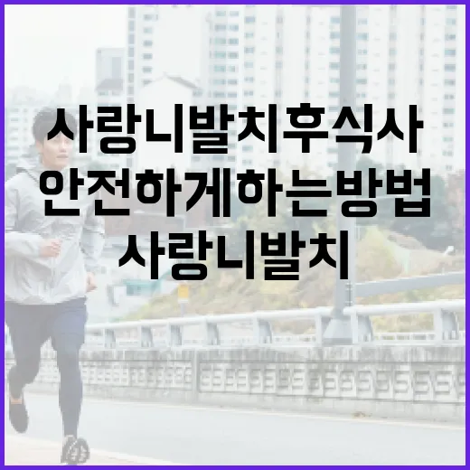 사랑니 발치 후 식사를 안전하게 하는 방법 - 요약