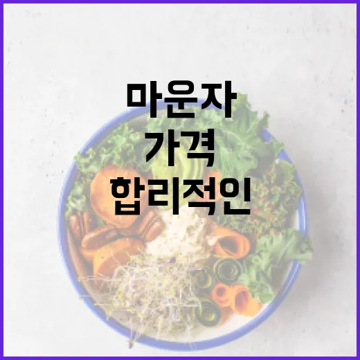 마운자를 합리적인 가격에 구매하는 방법 - 요약