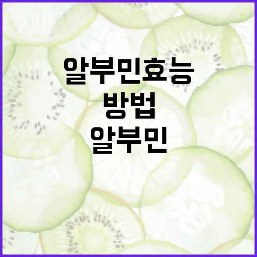 알부민 효능을 최대한 활용하는 방법 - 요약
