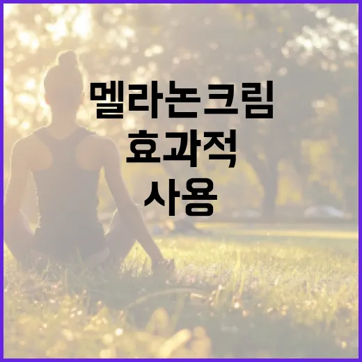 멜라논크림을 효과적으로 사용하는 방법 - 요약