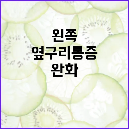 왼쪽 옆구리 통증을 완화하는 방법 - 요약