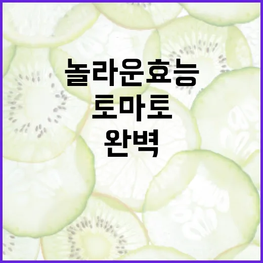 토마토의 놀라운 효능을 완벽하게 이해하는 방법 - 요약