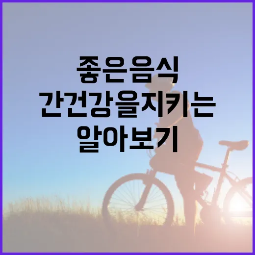 간 건강을 지키는 방법: 간에 좋은 음식 알아보기 - 요약