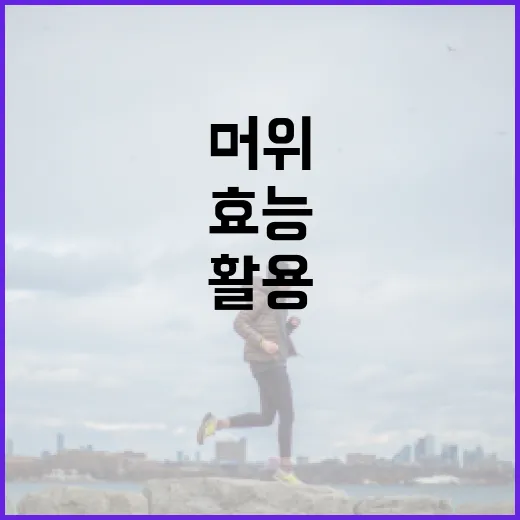 머위 효능을 최대한 활용하는 방법 - 요약