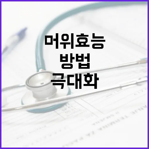 머위 효능을 극대화하는 방법 - 요약