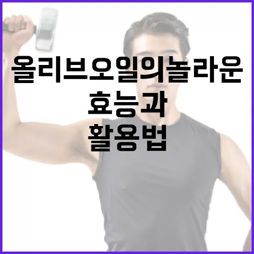 올리브오일의 놀라운 효능과 활용법 - 요약