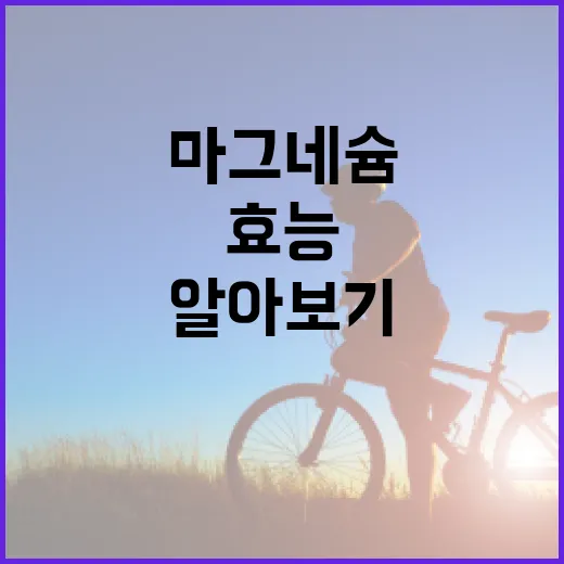 마그네슘의 효능 알아보기: 건강을 위한 필수 가이드 - 요약
