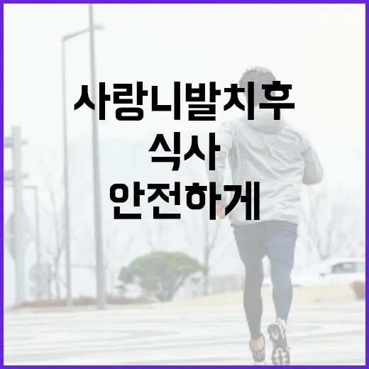 사랑니 발치 후 안전하게 식사하는 방법 - 요약